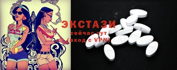 спиды Богородицк