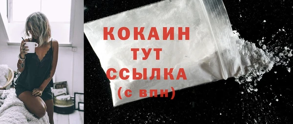 mdpv Богородск