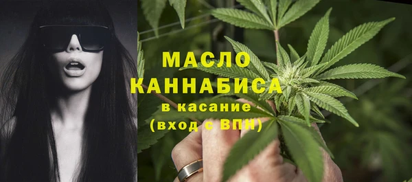 спиды Богородицк
