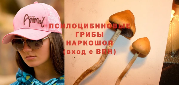 кристаллы Бородино