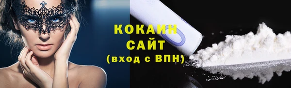 индика Бронницы