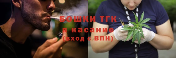 спиды Богородицк