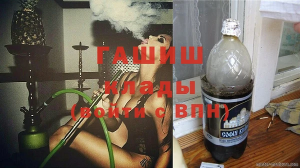 спиды Богородицк