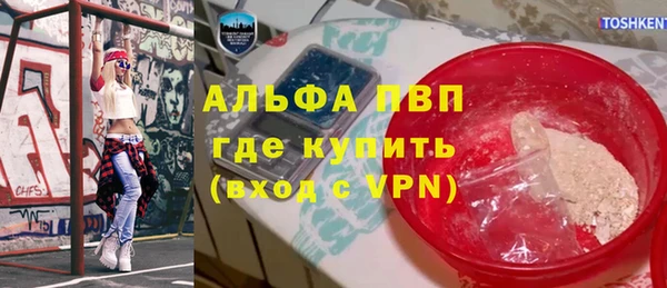 индика Бронницы