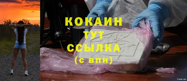 индика Бронницы