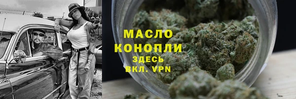 индика Бронницы
